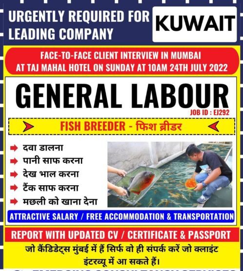 Read more about the article Gulf Interview | Urgently required for leading co – Kuwait