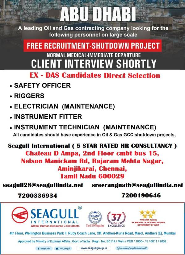 Seagull International Shutdown job Abu-Dhabi